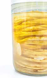 Palmetshofer: Geschmacksrevolution Fermentieren