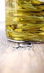 Palmetshofer: Geschmacksrevolution Fermentieren