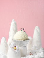 Gruber Cupcakes Rezepte StadtSpionin Kochbuch