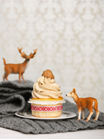 Gruber Cupcakes Rezepte StadtSpionin Kochbuch