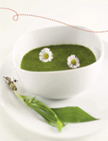 Suppito, Bärlauch- Suppe