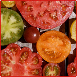Exotisch essen Tomaten