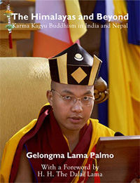 Buch Lama Palmo