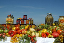 Tomaten von Erich Stekovics