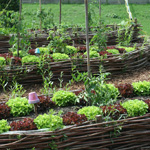 City Farm Schönbrunn Die StadtSpionin