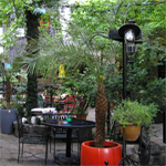 Dunkelbunt