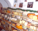 Cheesy