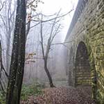 Lainzer Tiergarten