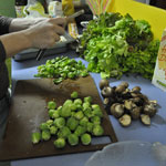 Die StadtSpionin | foodsharing