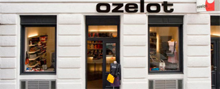 ozelot